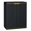 2 Door Cabinet